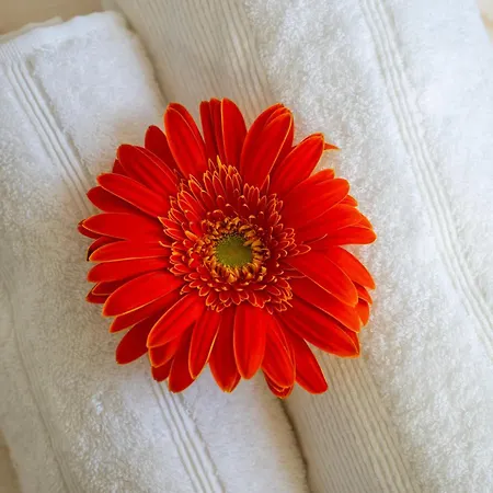 Glow House Ponta Delgada (Sao Miguel)