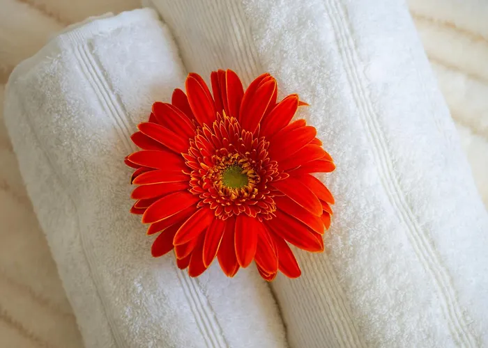 Glow House Ponta Delgada